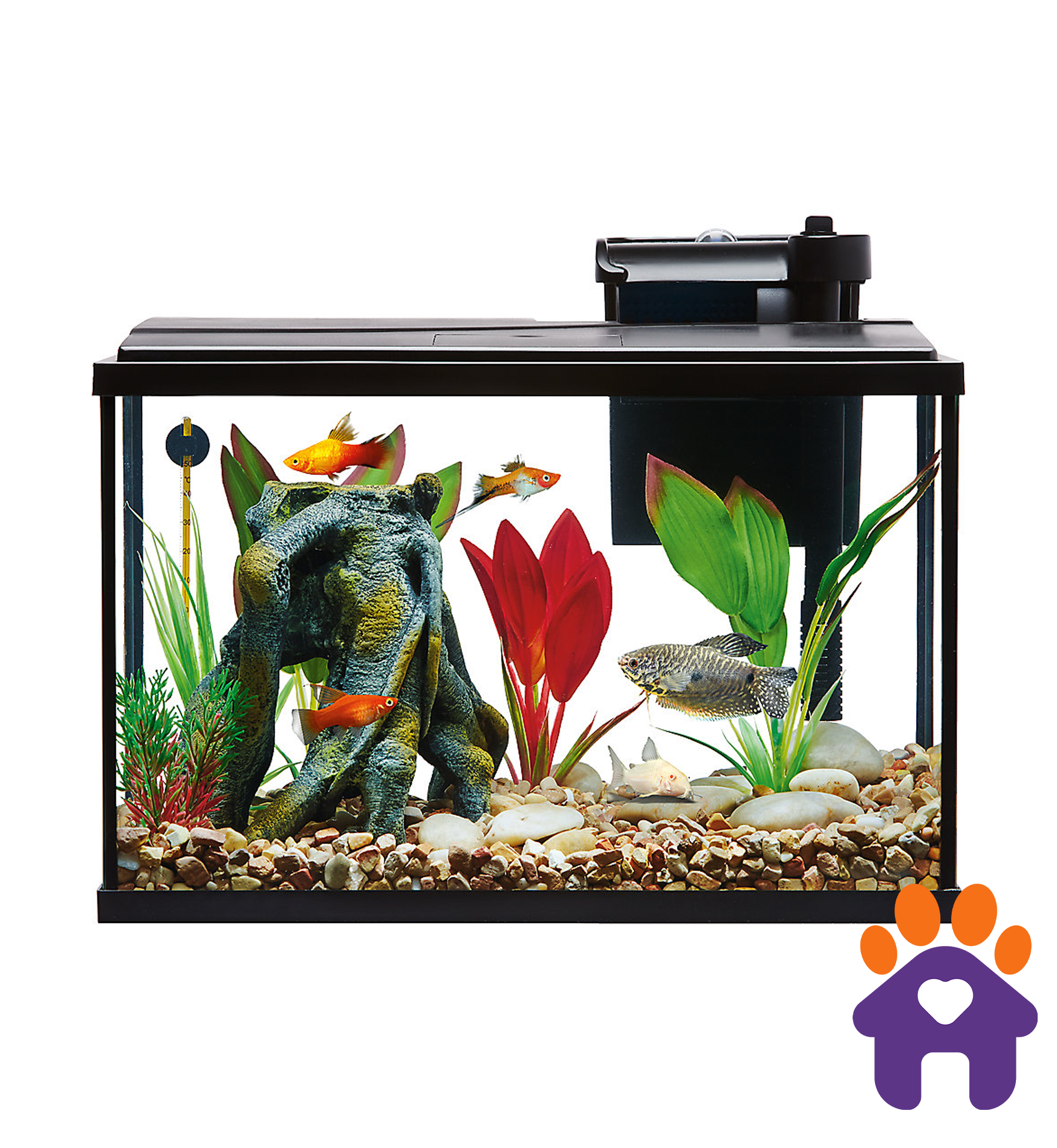 Essentials Starter Kit Desk Aquarium